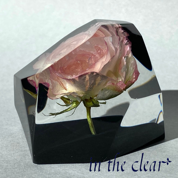 植物標本　ピンク　薔薇　レジン　鉱石型　底黒 3枚目の画像