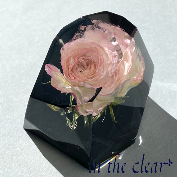 植物標本　ピンク　薔薇　レジン　鉱石型　底黒 4枚目の画像