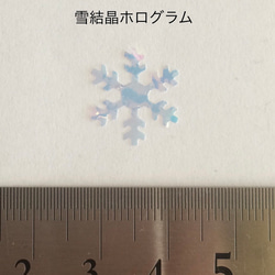 hortensia様　オーダーメイドスノードームご購入ページ 9枚目の画像