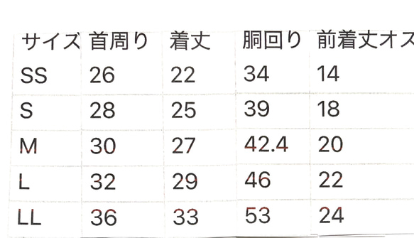  第6張的照片