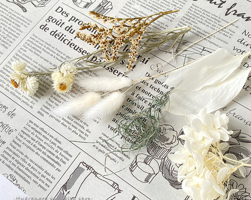 再入荷 】 6種類の白い花材たち 【ドライ＆プリザーブドフラワー