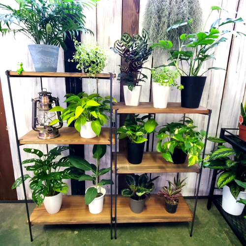 折りたたみ家具 □□幅100cm×高さ97cm□□アイアンラック 飾り棚 折りたたみ家具 □□幅100cm×高さ97cm□□アイアンラック 飾り棚