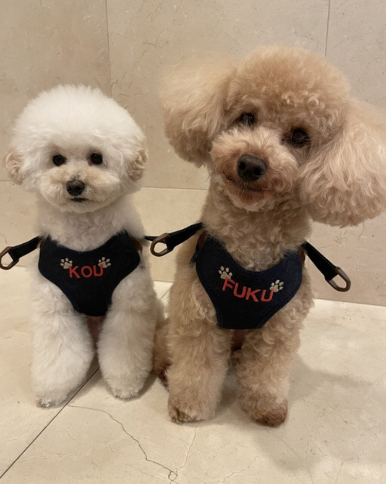 犬用ハーネス(デニム)お名前刺繍入り ペット服・アクセサリー ba-boo