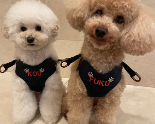 犬服ハンドメイド♡刺繍フリース*デニムリボン刺繍 犬服ハンドメイド♡刺繍フリース*デニムリボン刺繍