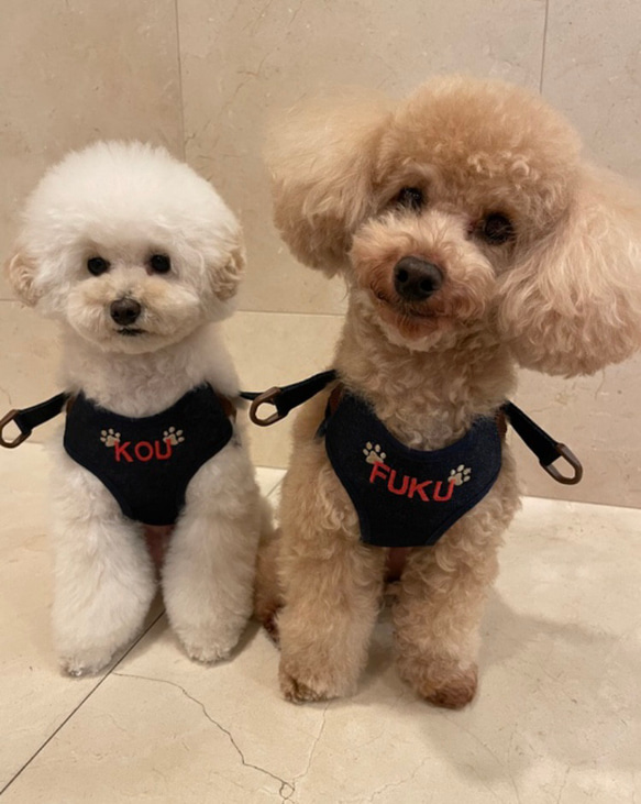 犬用ハーネス(デニム)お名前刺繍入り ペット服・アクセサリー ba-boo
