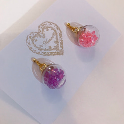 colorful cube pierce(light pink＆purple) MIX color 1枚目の画像