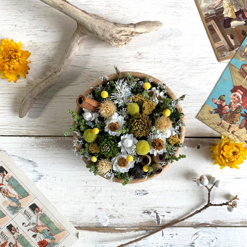 ドライフラワー「雑貨に似合う」ナチュラル×イエローウッドカップ