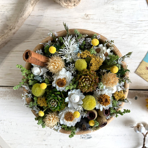 ドライフラワー「雑貨に似合う」ナチュラル×イエローウッドカップ