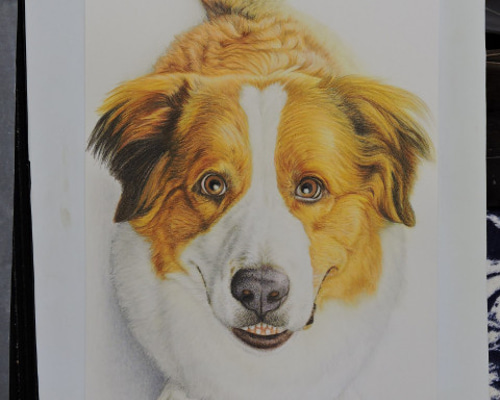 オーダーメイド ペット似顔絵依頼 色鉛筆画 絵画 kunihiro 通販