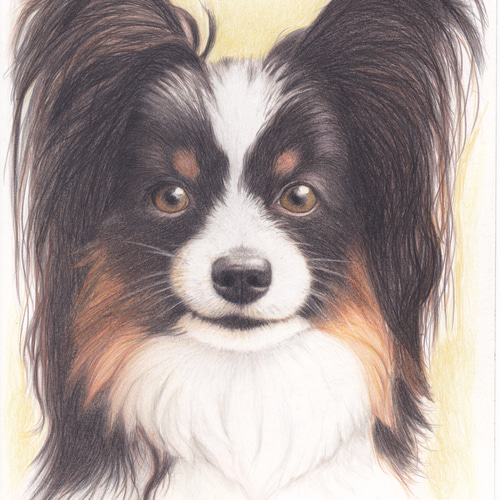 オーダーメイド ペット似顔絵依頼 色鉛筆画 絵画 kunihiro 通販
