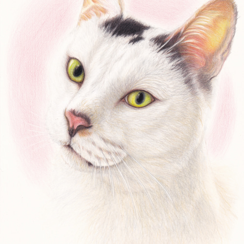 オーダーメイド ペット似顔絵依頼 色鉛筆画 絵画 kunihiro 通販