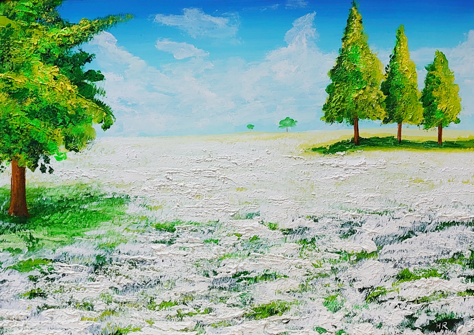 油絵 絵画 咲いた白の広場【Ａ3】 油絵 絵画 咲いた白の広場【A3】