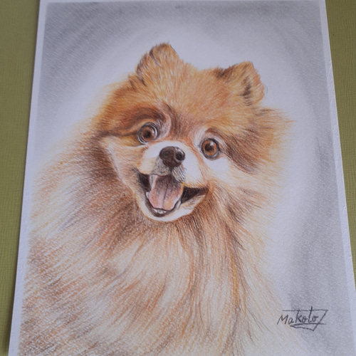 色鉛筆画 ポメラニアン 絵画 makochin 通販 14105268｜Creema(クリーマ)