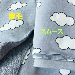【フレンチブルドッグ服】ホリゾンブルー綿雲のタンクトップ　柔らかい裏毛　スウェット　フレブル 4枚目の画像