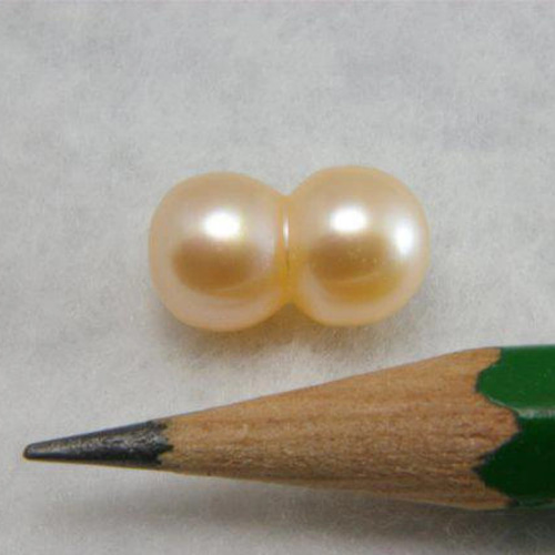 淡水パール 双子真珠 M オレンジピンク 12-15×7-9mm A級品 商品番号