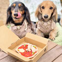 再販☆【大切なわんちゃんへ♪】わんわんピザクリスピー♪（犬用おやつ）クリスピーピザ専門店が作るわんちゃんピザ♪ 1枚目の画像
