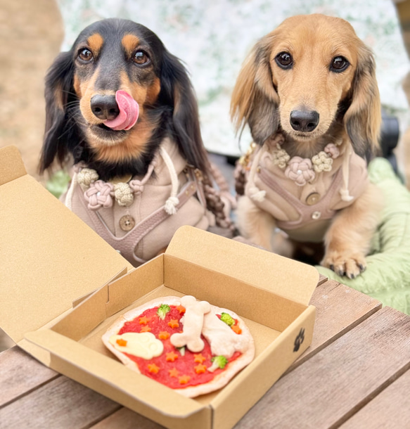 再販☆【大切なわんちゃんへ♪】わんわんピザクリスピー♪（犬用おやつ）クリスピーピザ専門店が作るわんちゃんピザ♪ 1枚目の画像