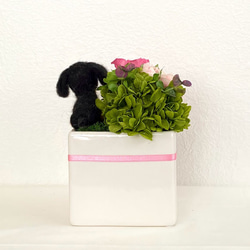 アレンジメントとダックスフンド＆　プリザーブドフラワー（ピンク色系）　/　プリザーブド　花　プレゼント　ペット　犬　　 5枚目の画像