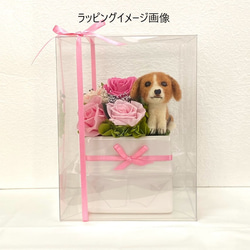 アレンジメントとダックスフンド＆　プリザーブドフラワー（ピンク色系）　/　プリザーブド　花　プレゼント　ペット　犬　　 7枚目の画像
