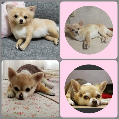 羊毛フェルト オーダーメイド 犬 サイズ20㎝ 全身タイプ メモリアル