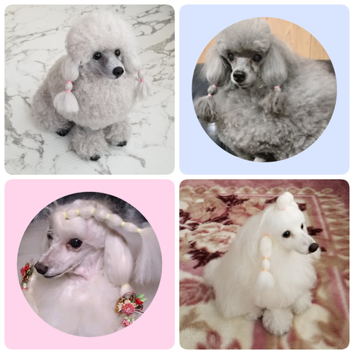 羊毛フェルト オーダーメイド 犬 サイズ20㎝ 全身タイプ
