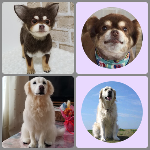羊毛フェルト オーダーメイド 犬 サイズ20㎝ 全身タイプ メモリアル 