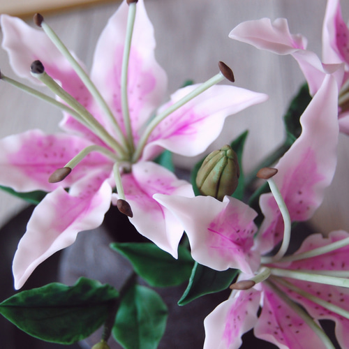 額入りの百合の花です。お気に入りの作品 71E9OoNu8fL._UF350,350_QL50_.jpg