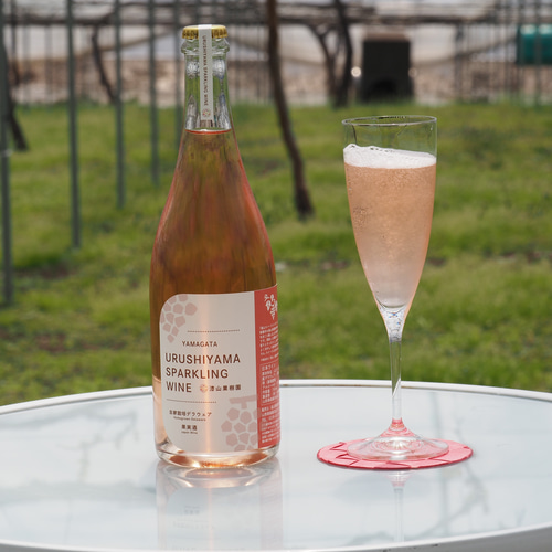 ブドウ農家が贈る【手土産やギフトに】スパークリングワインと枝付き