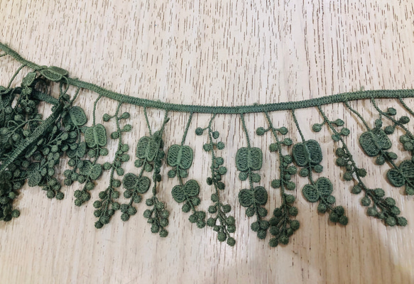  第1張的照片