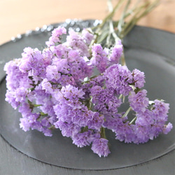 39016166f23f3566121d59d42ea3ec