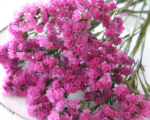 9a4070d6c907876cb34aecc258a041