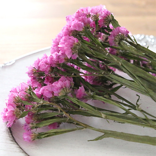 ハイブリッドスターチスドライフラワーチス濃いピンク 8本⇒6g〈No.35〉 ハイブリッドスターチスドライフラワーチス濃いピンク 8本⇒6g〈No.35