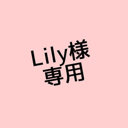 Lily様専用 1枚目の画像