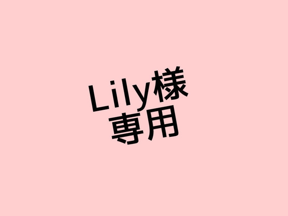 Lily様専用 1枚目の画像