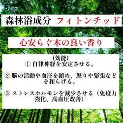 【世界に1本だけ】屋久杉のボールペン・長寿を祈る贈り物に C1242 6枚目の画像