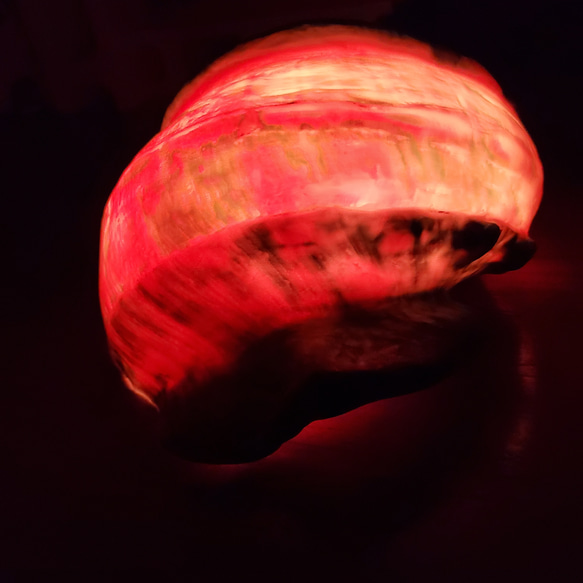 夜光貝ランプ 9枚目の画像