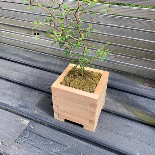 作家物花挿し 花器 岡崎慧佑さん 作家 作家物 赤 花瓶 一輪挿し うつわ