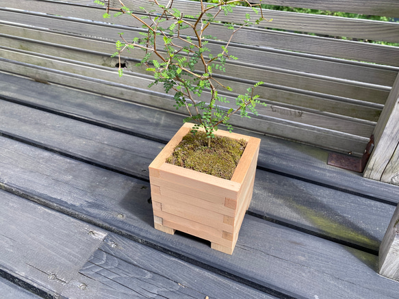 小さな木製プランター 一輪挿し・花瓶・花器 Hy-dex design 通販