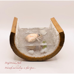 海の世界を閉じ込めた流木アート 浅瀬を歩くヤドカリ 水中ジオラマ 流木 レジンアート オブジェ アクアリウム 7枚目の画像