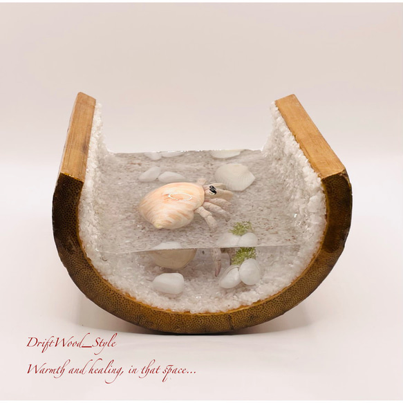 海の世界を閉じ込めた流木アート 浅瀬を歩くヤドカリ 水中ジオラマ 流木 レジンアート オブジェ アクアリウム 7枚目の画像