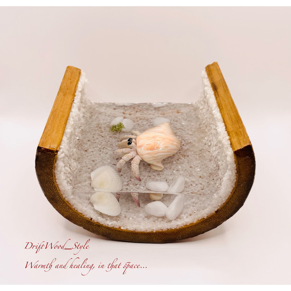 海の世界を閉じ込めた流木アート 浅瀬を歩くヤドカリ 水中ジオラマ 流木 レジンアート オブジェ アクアリウム 8枚目の画像