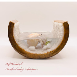 海の世界を閉じ込めた流木アート 浅瀬を歩くヤドカリ 水中ジオラマ 流木 レジンアート オブジェ アクアリウム 6枚目の画像