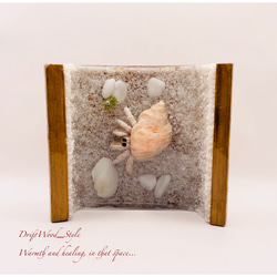 海の世界を閉じ込めた流木アート 浅瀬を歩くヤドカリ 水中ジオラマ 流木 レジンアート オブジェ アクアリウム 2枚目の画像