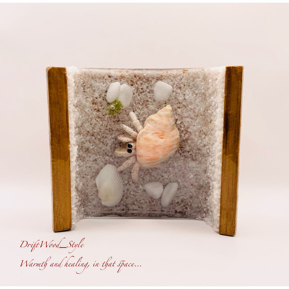 海の世界を閉じ込めた流木アート 浅瀬を歩くヤドカリ 水中ジオラマ 流木 レジンアート オブジェ アクアリウム 2枚目の画像