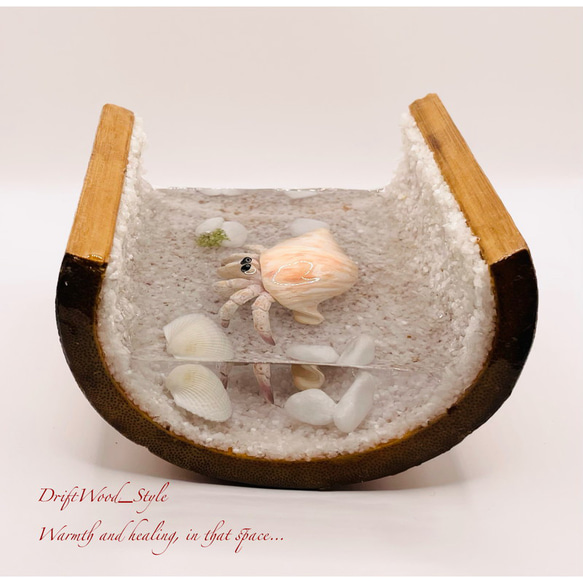 海の世界を閉じ込めた流木アート 浅瀬を歩くヤドカリ 水中ジオラマ 流木 レジンアート オブジェ アクアリウム 1枚目の画像