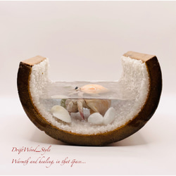 海の世界を閉じ込めた流木アート 浅瀬を歩くヤドカリ 水中ジオラマ 流木 レジンアート オブジェ アクアリウム 3枚目の画像