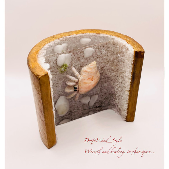 海の世界を閉じ込めた流木アート 浅瀬を歩くヤドカリ 水中ジオラマ 流木 レジンアート オブジェ アクアリウム 4枚目の画像