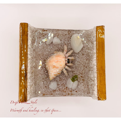 海の世界を閉じ込めた流木アート 浅瀬を歩くヤドカリ 水中ジオラマ 流木 レジンアート オブジェ アクアリウム 5枚目の画像