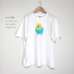 p-jet　セキセイインコ（レインボー）  Tシャツ　 / 鳥 インコ 5枚目の画像