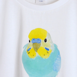 p-jet　セキセイインコ（レインボー）  Tシャツ　 / 鳥 インコ 4枚目の画像